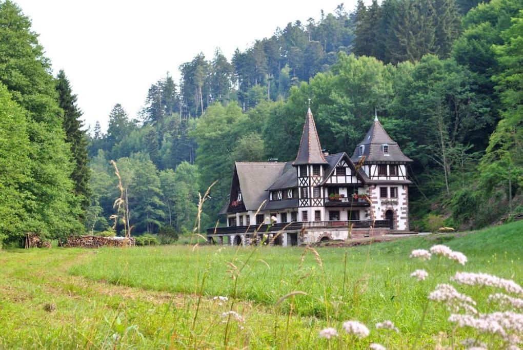 Le Saint Moulin De La Petite Pierre Villa Lohr Luaran gambar