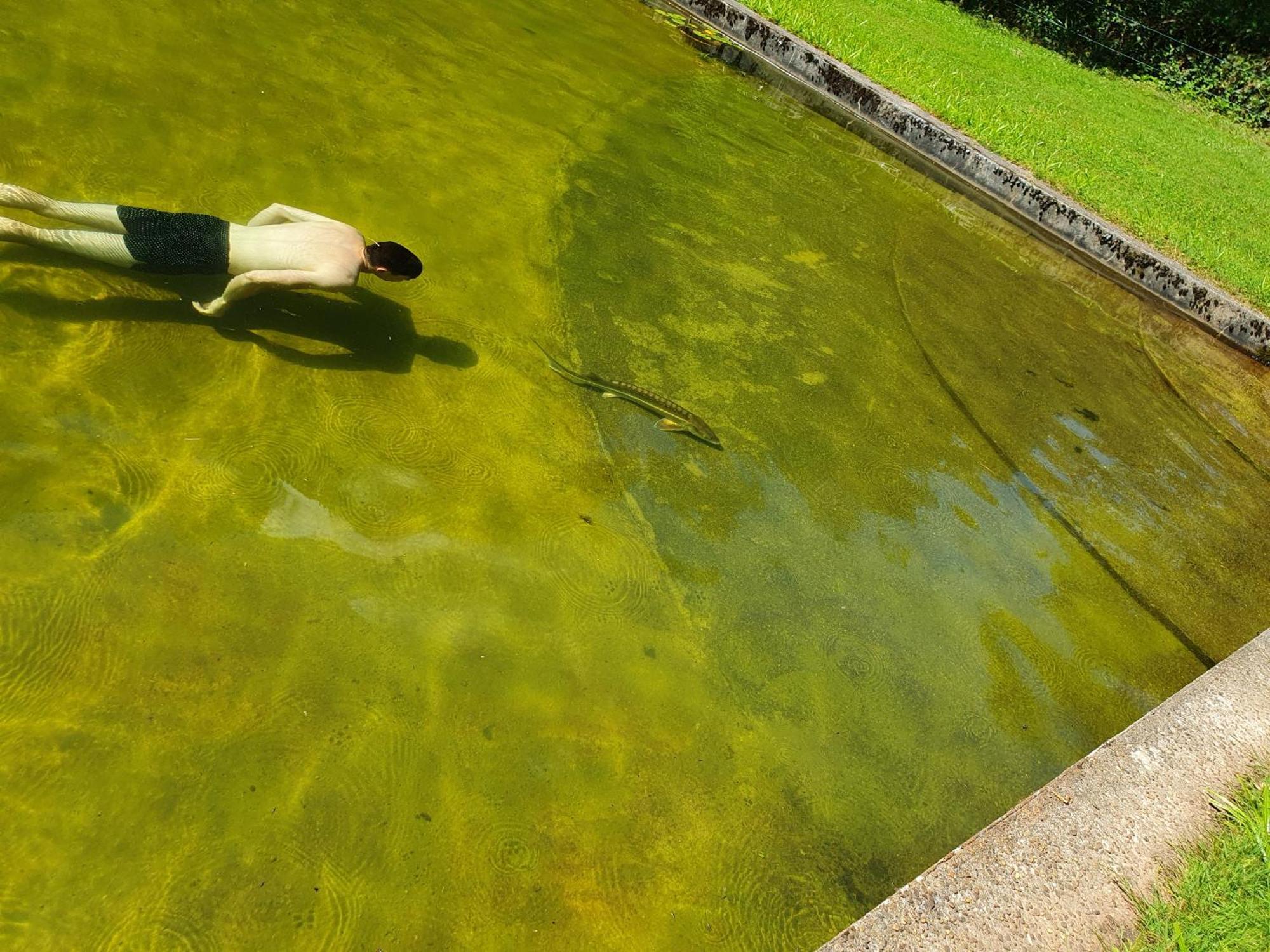 Le Saint Moulin De La Petite Pierre Villa Lohr Luaran gambar
